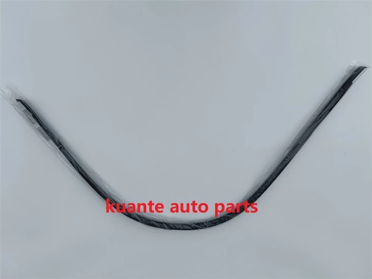 car roof weather stripping replacement